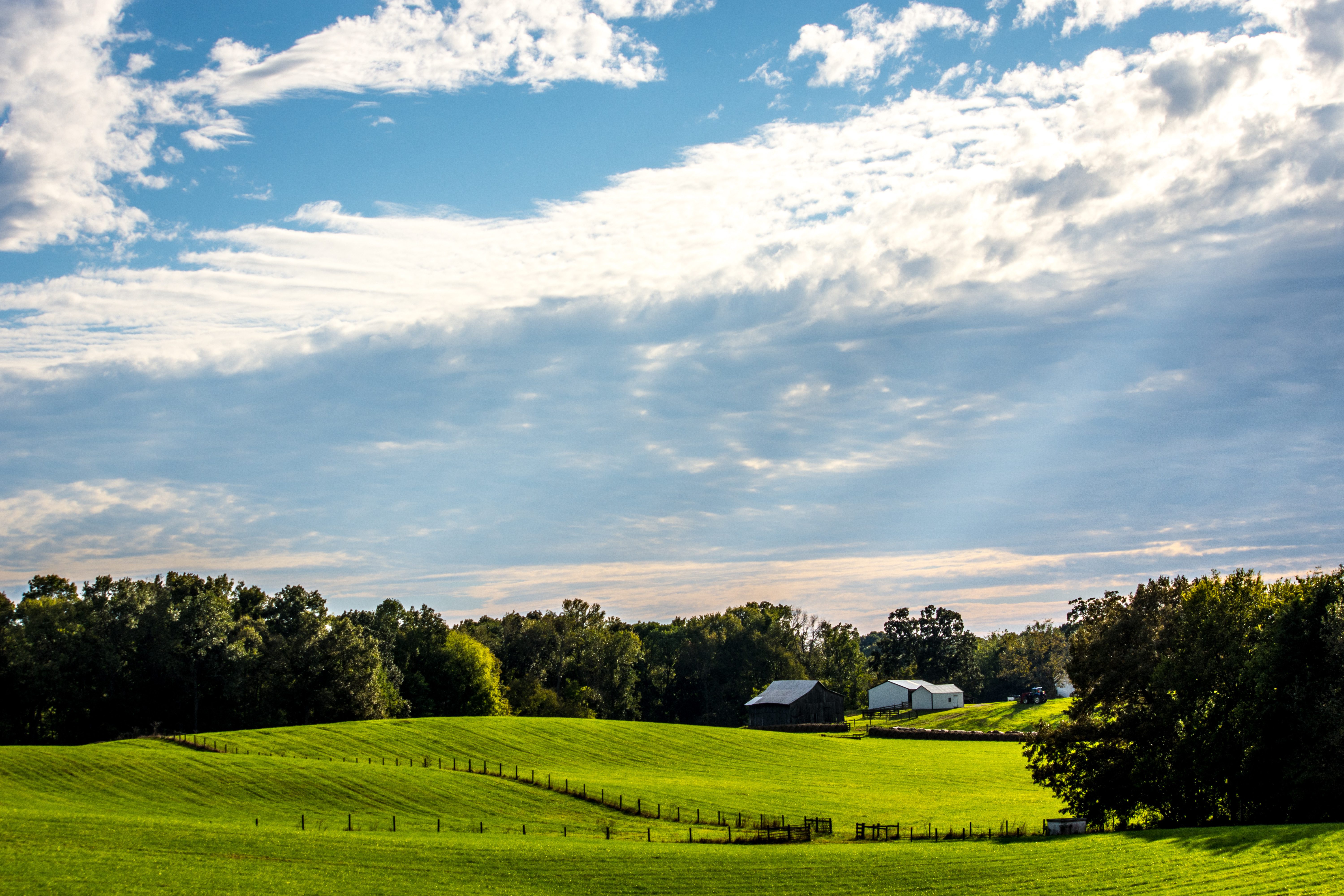 Farmland in Powhatan County, VA